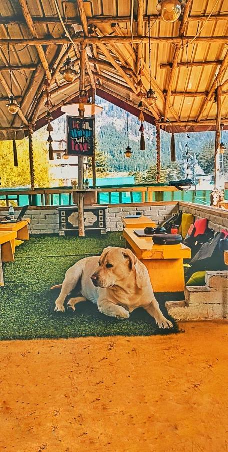 The Culture Nation Hostel Manali ภายนอก รูปภาพ